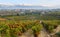 Ountryside town of elciego and autumn vineyards in la rioja, Spain