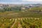 Ountryside town of elciego and autumn vineyards in la rioja, Spain