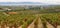 Ountryside town of elciego and autumn vineyards in la rioja, Spain