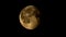 Our moon in Berlin and Brandenburg, Germany