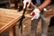 Our wood is a cut above the rest. an unrecognizable carpenter cutting wood inside a workshop.