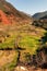 Ourika valley green fields