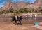 OURZAZATE, MOROCCO - JAN 2019: Berber women wash clothes in the river in beautiful picturesque place Oasis de Fint