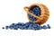 Out of a basket blueberry in wicker basket isolated on a white