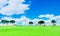 Out of focus backgrounds in a wide meadow. There are cows walking to eat grass. The sky is clear. Extensive grassland scenery. 3D