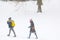 Out of focus. blurred background. People walk down the street on a snowy day. Bad weather. Severe frost and snowfall