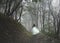 An out of focus, blurred ghostly woman wearing a white dress, running away from the camera. On a misty autumn day in a forest