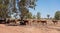 Outback Australian Cattle In Drought