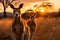 Outback Australian landscape at a golden sunset with two kangaroos