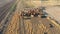 Outback Cattle Mustering with herd of cattle