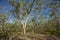 Outback of Kakadu National Park, Australia