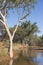Outback river landscape Australia