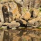 Outback Rock Reflections