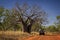 Outback Track with 4WD bush camper at the Kimberleys - Western Australia