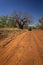 Outback Track with 4WD car bush camper under a boab tree at the Kimberleys - Western Australia