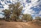 Outback track at Flinders Range - South Australia