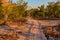 Outback trail, Australia