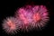 Outbreaks of festive pink salute fireworks