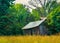 Outbuilding in a rural area surrounded by tall trees.