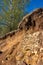 Outcrop of geological rocks. The bedrock is clay and limestone topped with Quaternary deposits