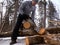 Outdoor activities: a man saws wood in a forest for a fire. Arrangement of a tent camp