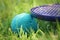 Outdoor activities. soft tennis green ball and soft racket lies in grass. Detail for child sport equipment. Blue and green ball