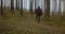 Outdoor Activities Travel Concept Man in Nature. Back View of Walking Person on Field Road in National Park. One 30s