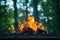 Outdoor ambiance Campfire flickers over vibrant green background