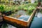 outdoor aquaponics garden with beautiful plants and fish swimming in water