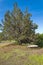 An outdoor bathtub under a tree in northern Oregon, USA