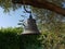 Outdoor bell at Toscane, Italy