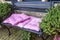 Outdoor bench with pink soft seat cushions. Close-up