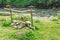 Outdoor camp fireplace near river water, rocks and green grass