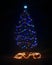 An Outdoor Christmas Tree on a Dark Night