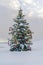 Outdoor Christmas tree on snowy ground against sky