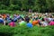 Outdoor cinema in the park