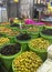 Outdoor City Fruit and Dried Herb Market in Jordan