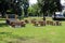 Outdoor classroom with blackboard tables and benches made from strong wooden logs in public park surrounded with grass and trees