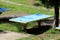 Outdoor concrete ping pong table on abandoned playground surrounded with high uncut grass and trees