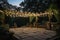 outdoor dance floor surrounded by greenery and delicate lights at dusk