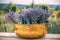 Outdoor decor with lavender plants in decorative metal bronze pots .