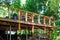 Outdoor Dining Deck Amongst The Treetops