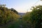 Outdoor Dining in a Vineyard