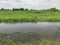 Outdoor dirty pond with glass