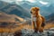 Outdoor exploration Adorable dog ventures into stunning mountain landscape
