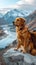 Outdoor exploration Adorable dog ventures into stunning mountain landscape