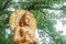 Outdoor exquisite buddha image with giant tree