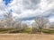 Outdoor Field of Orchards Blooming During Spring 2019