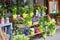 Outdoor flower market on a Parisian street