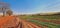 Outdoor footage of a rural landscape. Farm in the sun with plantation of alpha, parsley, chives and basil